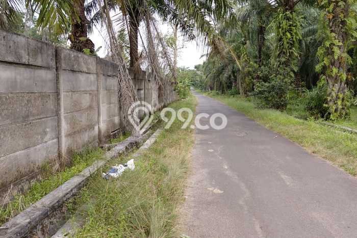 Tanah Kavling untuk Dijual di Merbau Mataram Lampung Selatan 1100m2 Tanah Kavling untuk Dijual di Merbau Mataram Lampung Selatan 1100m2