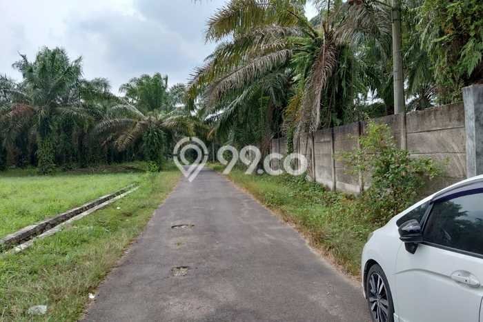 Tanah Kavling untuk Dijual di Merbau Mataram Lampung Selatan 1100m2 Tanah Kavling untuk Dijual di Merbau Mataram Lampung Selatan 1100m2