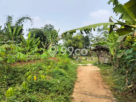 Lahan Investasi Lokasi Baleendah Bandung - Lahan Investasi Lokasi Baleendah Bandung -