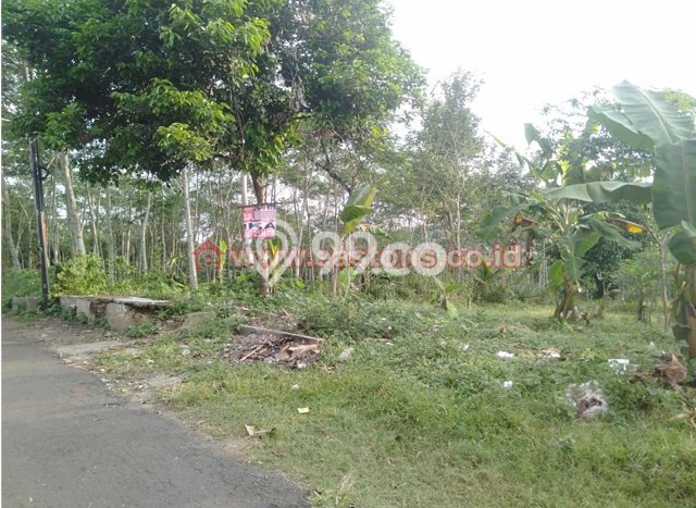 Lahan Investasi Lokasi Purwokerto Selatan Banyumas - Lahan Investasi Lokasi Purwokerto Selatan Banyumas -