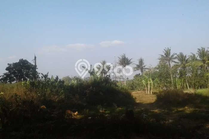 Tanah di Kembaran, Banyumas Luas 4550m2 Dijual Segera Tanah di Kembaran, Banyumas Luas 4550m2 Dijual Segera