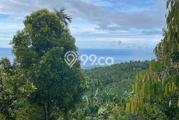 Jarang Ada! Tanah di Buleleng Punya Luas 18600m2 SHM Jarang Ada! Tanah di Buleleng Punya Luas 18600m2 SHM