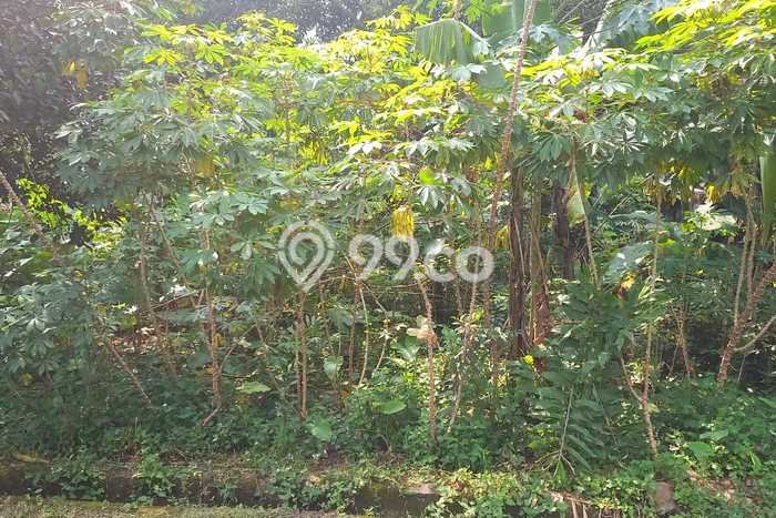 Kavling Tanah di Pamulang Dijual Luas 433m2 Legalitas SHM Kavling Tanah di Pamulang Dijual Luas 433m2 Legalitas SHM