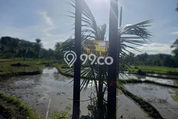 Lahan Dijual Lokasi Strategis di Sukabumi dengan Luas 7310m2 Lahan Dijual Lokasi Strategis di Sukabumi dengan Luas 7310m2