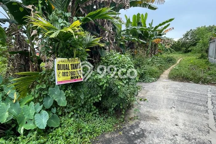 Lahan Investasi Lokasi Tampan Pekanbaru - Lahan Investasi Lokasi Tampan Pekanbaru -