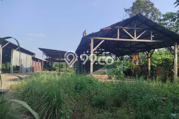 Area Ramai! Gudang Dijual di Siak Hulu untuk Bisnis Luas Bangunan 5048m2 Area Ramai! Gudang Dijual di Siak Hulu untuk Bisnis Luas Bangunan 5048m2