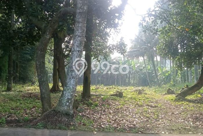 Tanah Dijual Lokasi Bogor Barat, Bogor Luas 1794m2 Legalitas Aman Tanah Dijual Lokasi Bogor Barat, Bogor Luas 1794m2 Legalitas Aman