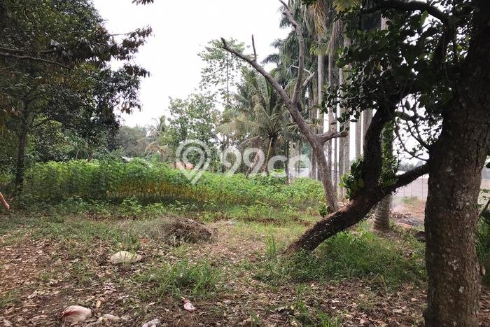 Tanah Dijual Lokasi Bogor Barat, Bogor Luas 1794m2 Legalitas Aman Tanah Dijual Lokasi Bogor Barat, Bogor Luas 1794m2 Legalitas Aman