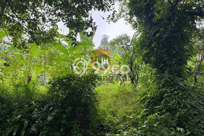 Tanah Dijual Lokasi Gajah Mungkur, Semarang Luas 575m2 Legalitas Aman Tanah Dijual Lokasi Gajah Mungkur, Semarang Luas 575m2 Legalitas Aman