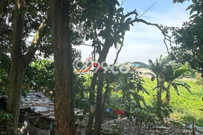 Tanah Dijual Lokasi Pamulang, Tangerang Selatan Luas 12300m2 Legalitas Aman Tanah Dijual Lokasi Pamulang, Tangerang Selatan Luas 12300m2 Legalitas Aman