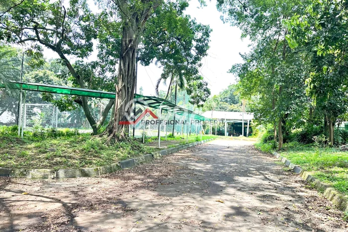 Kavling Tanah untuk Dijual di Kemang, Jakarta Selatan, Luas 9919m2 Kavling Tanah untuk Dijual di Kemang, Jakarta Selatan, Luas 9919m2