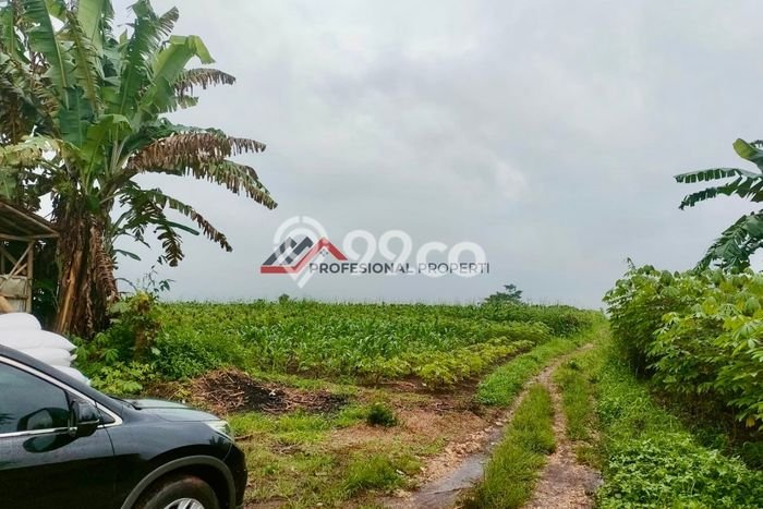 Lahan untuk Dijual di Cibadak Sukabumi Luas 142000m2 Lahan untuk Dijual di Cibadak Sukabumi Luas 142000m2