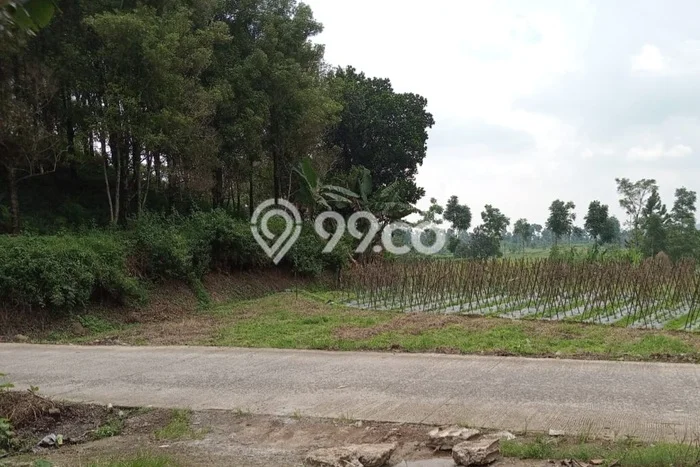 Kavling Tanah Dijual di Bojong Tegal Spesifikasi 4160m2 Kavling Tanah Dijual di Bojong Tegal Spesifikasi 4160m2