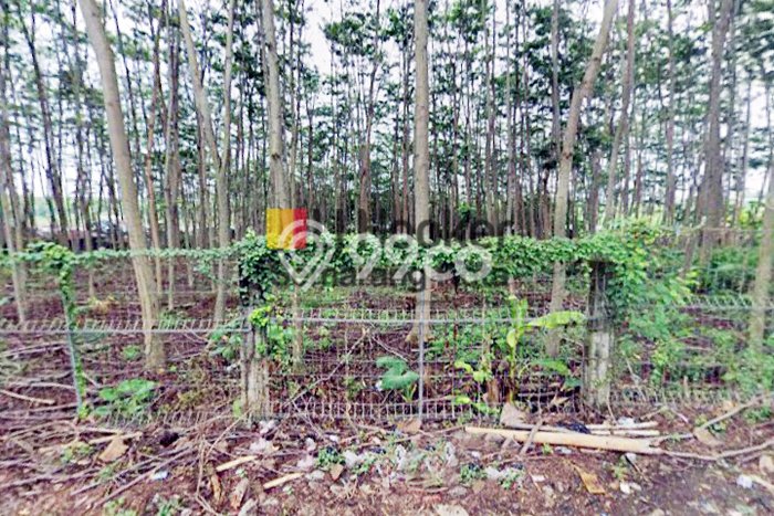 Tanah Komersial Dijual di Ngaliyan Semarang 12356m2 Tanah Komersial Dijual di Ngaliyan Semarang 12356m2
