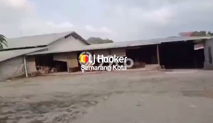 Gudang untuk disewa di Tugu punya LT 6785m2 & LB 7853m2 harga sewa kompetitif Gudang untuk disewa di Tugu punya LT 6785m2 & LB 7853m2 harga sewa kompetitif