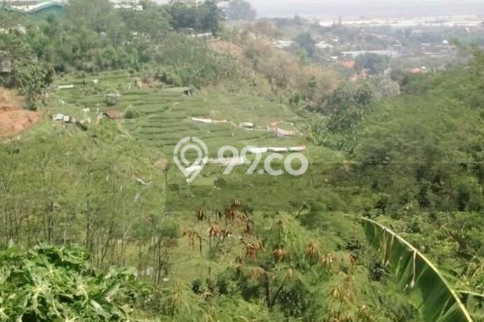 Tanah Kavling Dijual di Tambakaji, Semarang dengan Luas Tanah 37500m2 Tanah Kavling Dijual di Tambakaji, Semarang dengan Luas Tanah 37500m2