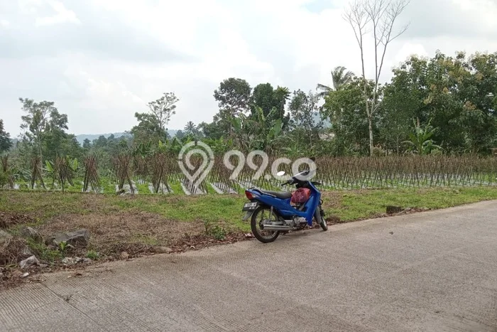 Kavling Tanah Dijual di Bojong Tegal Spesifikasi 4160m2 Kavling Tanah Dijual di Bojong Tegal Spesifikasi 4160m2