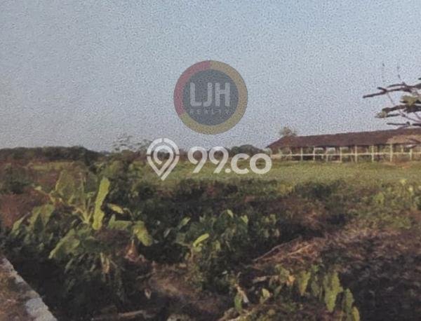 Tanah untuk Dijual Lokasi Polanharjo, Klaten Luas 45230m2 - Tanah untuk Dijual Lokasi Polanharjo, Klaten Luas 45230m2 -