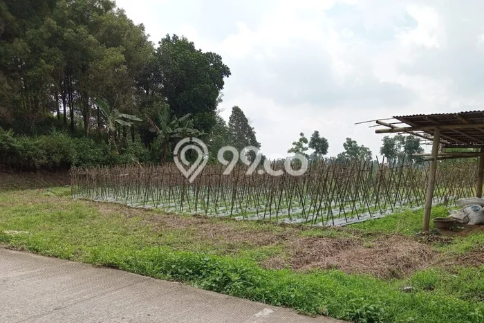 Kavling Tanah Dijual di Bojong Tegal Spesifikasi 4160m2 Kavling Tanah Dijual di Bojong Tegal Spesifikasi 4160m2