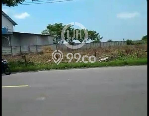 Tanah Dijual Lokasi Widang, Tuban Luas 40000m2 Legalitas Aman Tanah Dijual Lokasi Widang, Tuban Luas 40000m2 Legalitas Aman