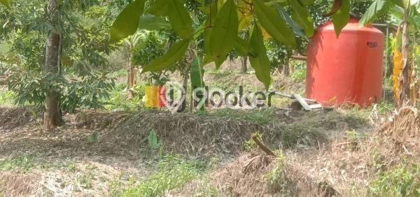 Jarang Ada! Tanah di Bojong Punya Luas 7000m2 SHM Jarang Ada! Tanah di Bojong Punya Luas 7000m2 SHM