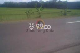 Jarang Ada! Tanah di Sayung Punya Luas 50000m2 SHM Jarang Ada! Tanah di Sayung Punya Luas 50000m2 SHM
