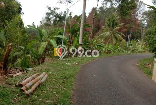 Jarang Ada! Tanah di Bojong Punya Luas 7000m2 SHM Jarang Ada! Tanah di Bojong Punya Luas 7000m2 SHM