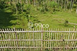 Tanah Dijual Area Strategis di Bandung Selatan Bandung 14000m2 Tanah Dijual Area Strategis di Bandung Selatan Bandung 14000m2