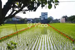 Lahan untuk Dijual di Kasihan Bantul Luas 834m2 Lahan untuk Dijual di Kasihan Bantul Luas 834m2