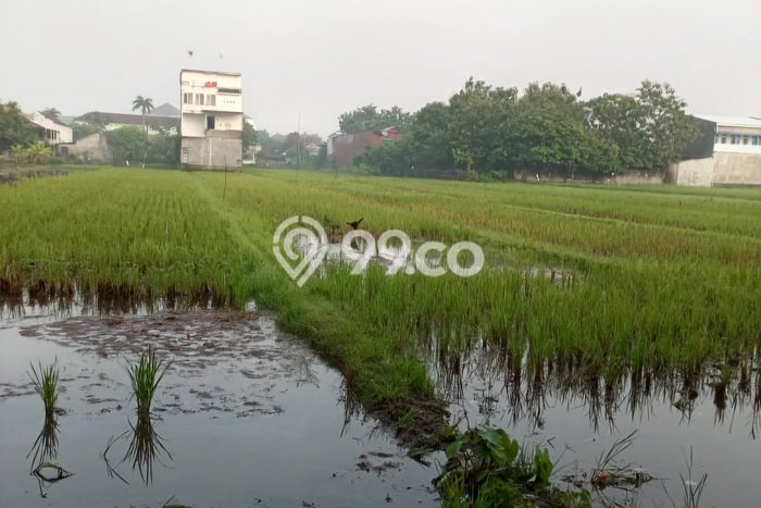 Lahan untuk Dijual di Kasihan Bantul Luas 834m2 Lahan untuk Dijual di Kasihan Bantul Luas 834m2