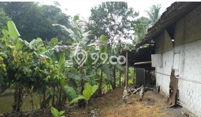 Kavling Tanah di Gisting Dijual Luas 6325m2 Legalitas SHM Kavling Tanah di Gisting Dijual Luas 6325m2 Legalitas SHM