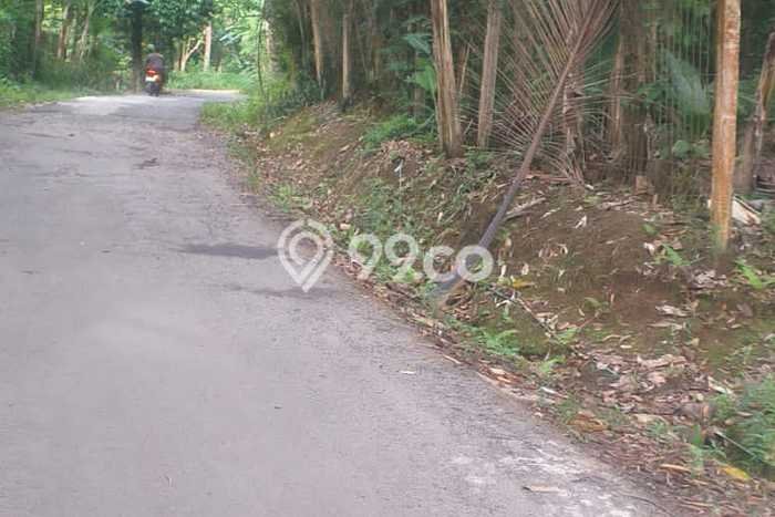 Lahan Dijual Lokasi Padang Cermin, Pesawaran dengan Luas Tanah 50000m2 dan Status AJB Lahan Dijual Lokasi Padang Cermin, Pesawaran dengan Luas Tanah 50000m2 dan Status AJB