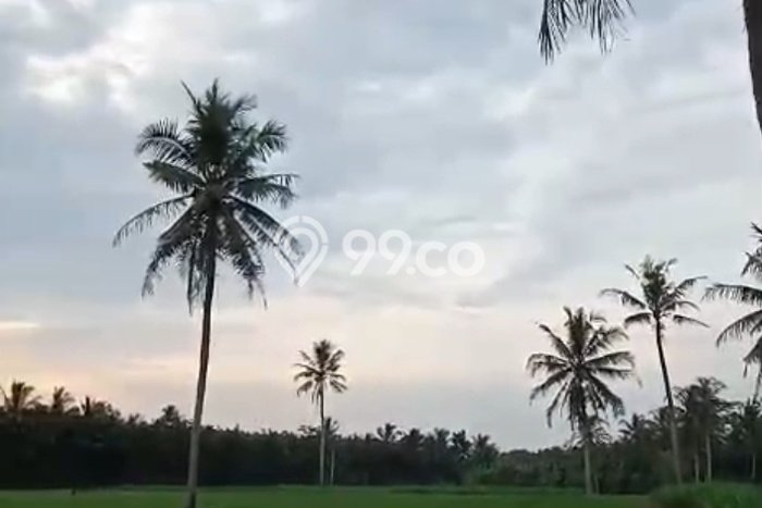 Tanah Dijual Lokasi Kalianda, Lampung Selatan Luas 33000m2 Legalitas Aman Tanah Dijual Lokasi Kalianda, Lampung Selatan Luas 33000m2 Legalitas Aman
