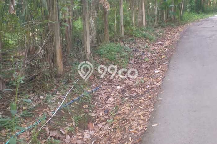 Lahan Dijual Lokasi Padang Cermin, Pesawaran dengan Luas Tanah 50000m2 dan Status AJB Lahan Dijual Lokasi Padang Cermin, Pesawaran dengan Luas Tanah 50000m2 dan Status AJB