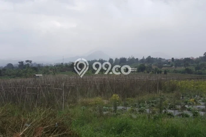 Dijual Tanah Lokasi Cipendawa, Cianjur Seluas 9348m2 Dijual Tanah Lokasi Cipendawa, Cianjur Seluas 9348m2