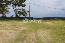 Tanah Siap Bangun Dijual di Badung Punya Luas 2500m2 Tanah Siap Bangun Dijual di Badung Punya Luas 2500m2