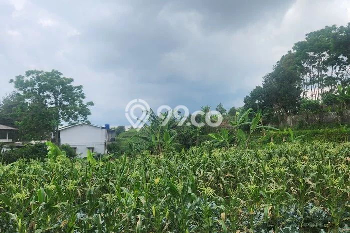 Lahan Strategis di Cianjur Dijual dengan Luas 3700m2 Lahan Strategis di Cianjur Dijual dengan Luas 3700m2