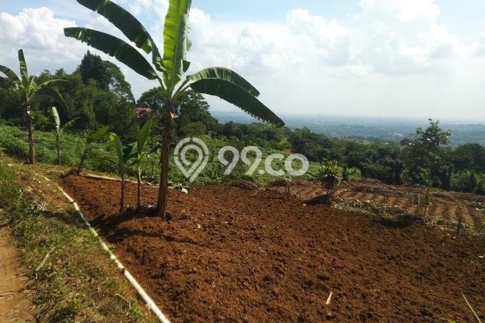 Kavling Tanah untuk Dijual di Cijayanti, Bogor, Luas 15016m2 Kavling Tanah untuk Dijual di Cijayanti, Bogor, Luas 15016m2