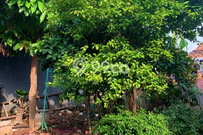 Tanah Lokasi Strategis di Permata Hijau, Luas 1234m², Dekat ke Pusat Kota Tanah Lokasi Strategis di Permata Hijau, Luas 1234m², Dekat ke Pusat Kota