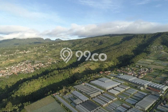 Tanah Dijual Lokasi Lembang, Bandung Barat dengan Luas Tanah 100000m2 dan Status SHM Tanah Dijual Lokasi Lembang, Bandung Barat dengan Luas Tanah 100000m2 dan Status SHM