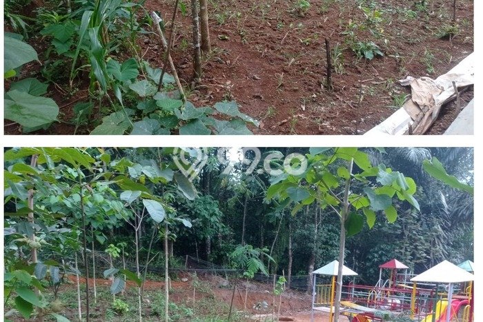 Hunian Nyaman untuk Keluarga area Cibugel - 3 KT Hunian Nyaman untuk Keluarga area Cibugel - 3 KT
