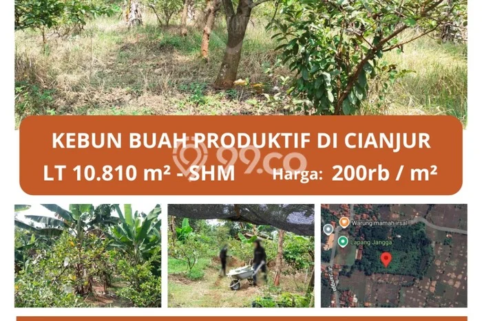 Lahan Investasi Lokasi Cianjur Cianjur SHM Lahan Investasi Lokasi Cianjur Cianjur SHM