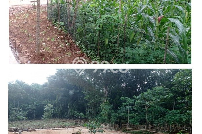 HOT DEAL! Jual Rumah Premium area Cibugel, Sumedang, LT 1137m² LB 136m² HOT DEAL! Jual Rumah Premium area Cibugel, Sumedang, LT 1137m² LB 136m²