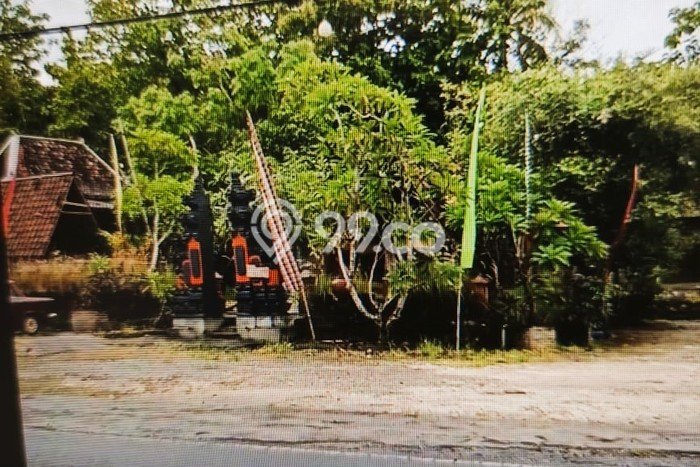Kavling Tanah Dijual di Karangmojo, Gunung Kidul, Luas 4860m2 Area Strategis Kavling Tanah Dijual di Karangmojo, Gunung Kidul, Luas 4860m2 Area Strategis