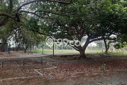 Lahan Kosong Dijual di Depok dengan Area 500m2 Lahan Kosong Dijual di Depok dengan Area 500m2
