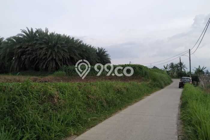 Untuk Dijual Tanah di Bogor, Luas 662m2 - Untuk Dijual Tanah di Bogor, Luas 662m2 -