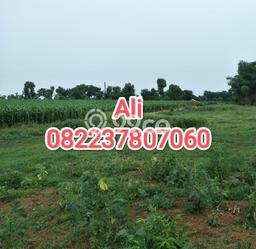 Tanah untuk Dijual Lokasi Gempol, Pasuruan Luas 140000m2 - Tanah untuk Dijual Lokasi Gempol, Pasuruan Luas 140000m2 -