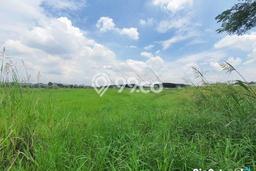 Untuk Dijual Tanah di Driyorejo Gresik Luas 67000m2 - Untuk Dijual Tanah di Driyorejo Gresik Luas 67000m2 -
