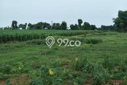 Tanah Kawasan Sidoarjo, Luas 70000m2m², Area Komersial Tanah Kawasan Sidoarjo, Luas 70000m2m², Area Komersial