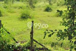Lahan Kosong Dijual di Jetis, Mojokerto, Luas 17600m2 Area Strategis Lahan Kosong Dijual di Jetis, Mojokerto, Luas 17600m2 Area Strategis